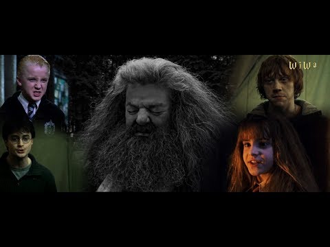 Fresh Dumbledore - Halt die Fresse, Hagrid [WiWa Music Video] (HD)
