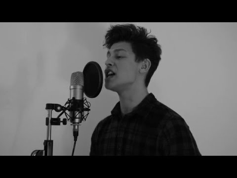 ZAYN - PILLOWTALK (Sere cover)