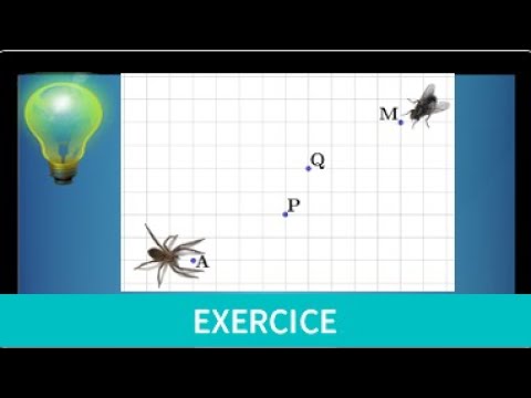 Dénombrement • combinaison • compter les chemins sur un quadrillage • exercice classique • Terminale