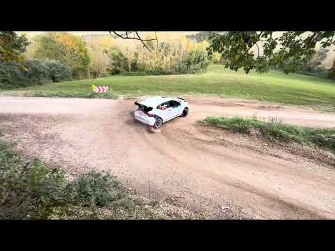 DALMAZZINI Andrea, ALBERTINI Andrea,  Renault Clio Rally 3, rally delle Marche 2024