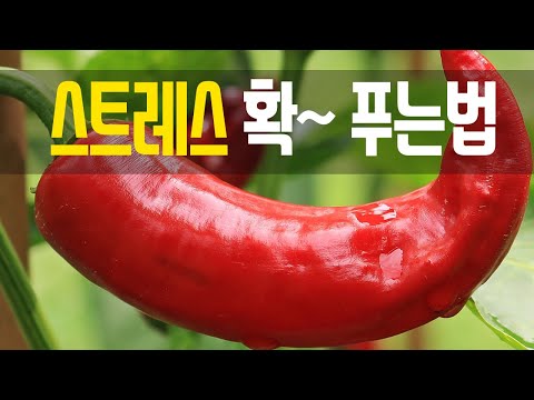 10가지 즐거운 방법으로 스트레스 해소하기