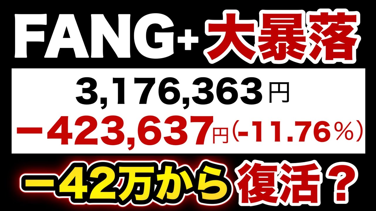 【新NISA】ファングプラス絶対売るな！大損からのリアルな現在【FANG】