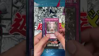 Doom of Dimensions Booster Pack Opening #4 | Yu-Gi-Oh!