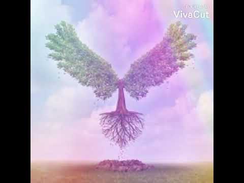 Isma Doction Ft Silversky - Nous na pu le choix - Audio - 2k21 (Doction Blézy Studio)💚💛❤️