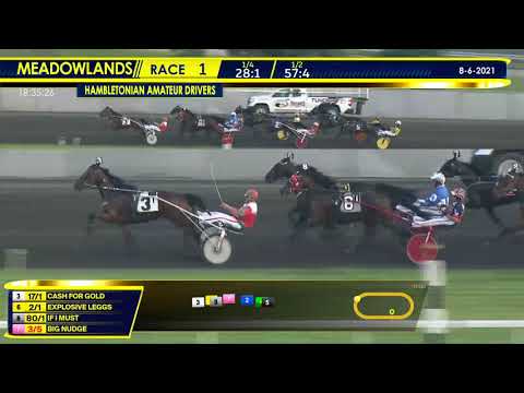 August 6, 2021 - Hambletonian Amateur Drivers 1st Div.