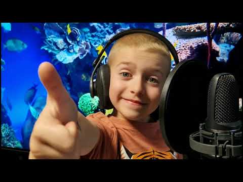 Wittmann Olivér - Hal Dal (Halszámoló Dal Cover)