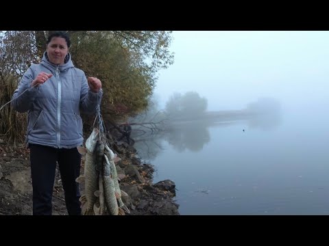 🇺🇦ЗВЕРСКИЙ ЖОР ЩУКИ | наша лучшая рыбалка на щуку за все года ловли щуки