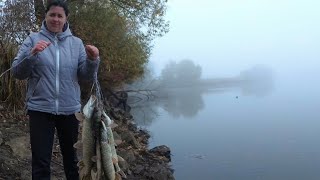 Ловля щуки точка ловли