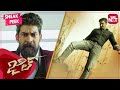 Gopichand Powerful Action Scene Jil Telugu Movie Scene Full Movie On SUN NXT