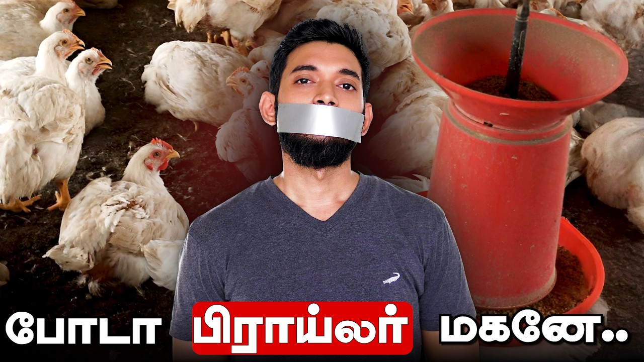 BROILER = கெட்ட வார்த்தை?😂😂 பிராய்லர் வீடியோ DELETE ஆனது ஏன்?