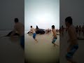 Orca Surprises Swimmers