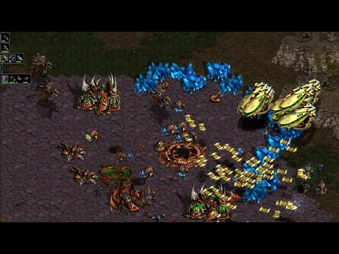 StarCraft Remastered 1v4 Protoss vs 2 Zerg/Protoss/Terran (vs 4 computers ) Big Game Hunters