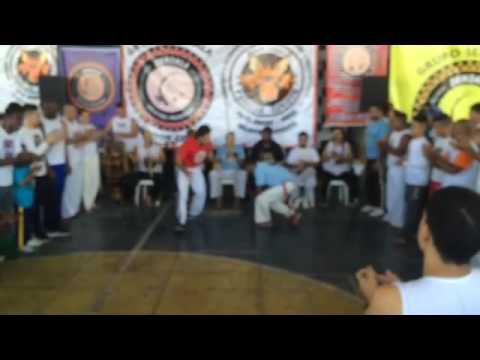 Família coyote capoeirio 2016
