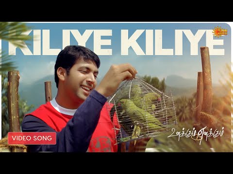 Kiliye Kiliye - Video Song | Something Something - Unakkum Enakkum | Devi Sri Prasad | Sun Music