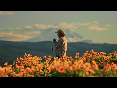 A Roadtrip to Oregon's Columbia River Gorge