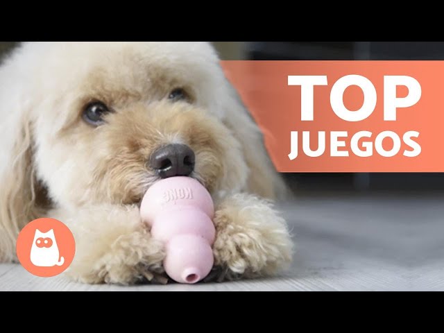 Vídeo relacionado con Ousiya Juego de 24 juguetes para cachorros, juguete masticable para cachorros con caja de almacenamiento, juguete masticable para perros y juguete chirriante para perros los perros pequeños y medianos