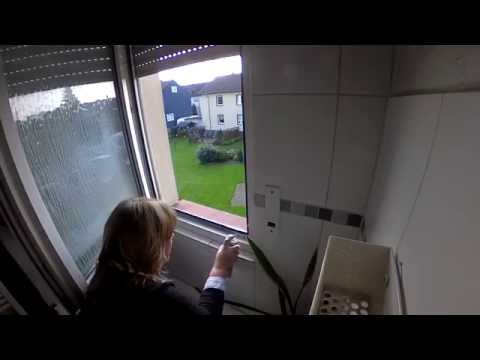 Caramba Aufkleberentferner