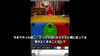 ハワイアン ドリーム スペック ハワイアン ドリーム スペック