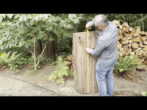 How to make a log beehive It's easy-peasy #beekeeping #beekeepers