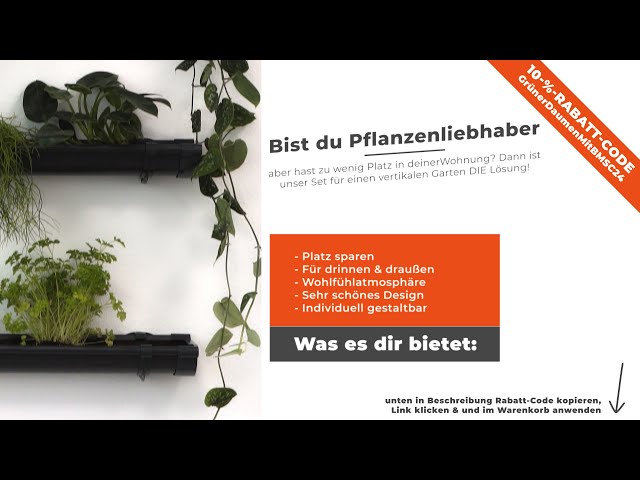 deamPbLngSU deamPbLngSU