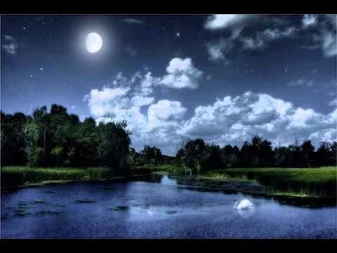 Gee Tee Age - All I Ever Wanted 2005