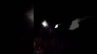 preview picture of video 'Leopard seen at night in Ranthambore'