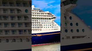 Disney Wish 🛳️ #like #share #comment #subscribe #cruiseship #cruise #vacation #shorts #short #video