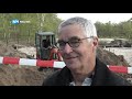 Provincie blundert met te vroeg dempen poel voor zeldzame salamander