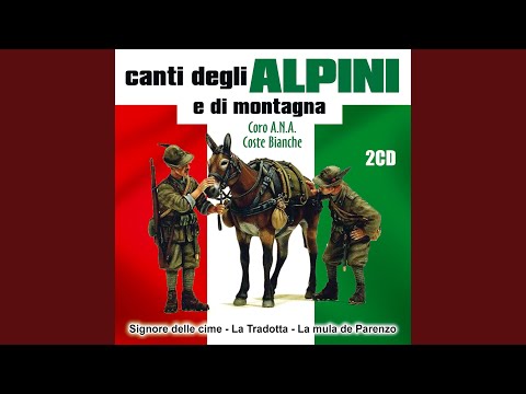 download lagu mp3 mp4 Alpini In Libia Canzone, download lagu Alpini In Libia Canzone gratis, unduh video klip Alpini In Libia Canzone