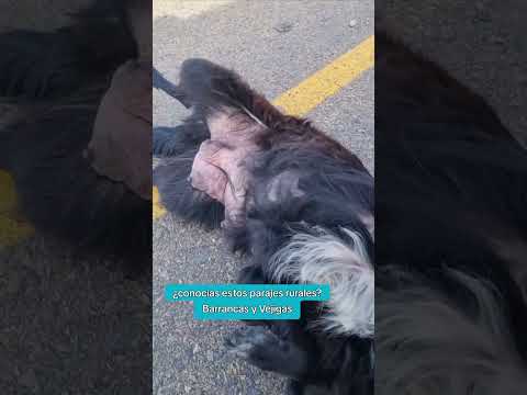 Parajes rurales desconocidos en Uruguay 