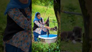 Download lagu Grilled Sturgeon with Sour Marinate mp3 Download lagu Grilled Sturgeon with Sour Marinate mp3