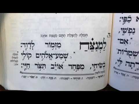 תהלים פרק סד׳ Tehillim perek 64 chapter 64