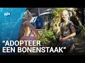 Robinson (10) kweekt tuinbonen voor WNF