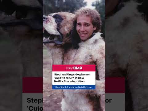 Stephen King’s dog horror ‘Cujo’ to return in Netflix adaptation