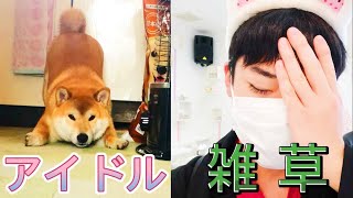 愛犬と二人羽織したら酷すぎたww