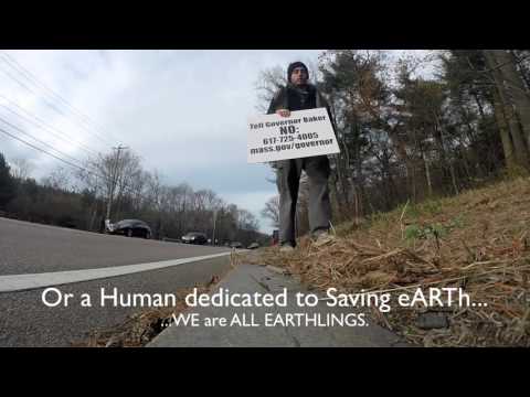 SAVE THE DEER! STOP the BLUE HILLS HUNT NOW!