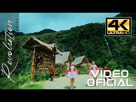 Reynas Marvel - Hojita Verde De La Coca (Video Oficial 4k) Revolution Visual Studios 2019