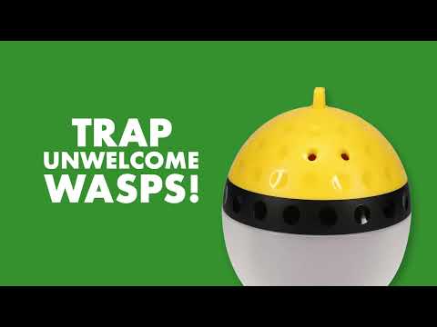 How To Kill Wasps and Hornets | Spectracide® Wasp, Hornet & Yellowjacket Trap
