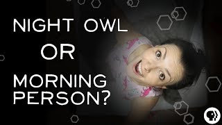 What Makes Someone a Night Owl?