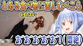とあるバズり飯を食べて悶絶するぺこちゃん【兎田ぺこら/ホロライブ切り抜き】