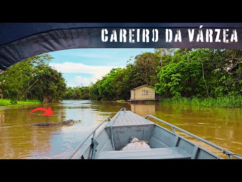 COMO É VIAJAR DE LANCHA 4 HORAS de Manaus ao interior do Careiro da Várzea no Amazonas 