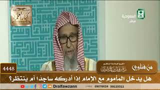 [4448] هل يدخل المأموم مع الإمام إذا أدركه ساجدًا أم ينتظر؟ - صالح الفوزان