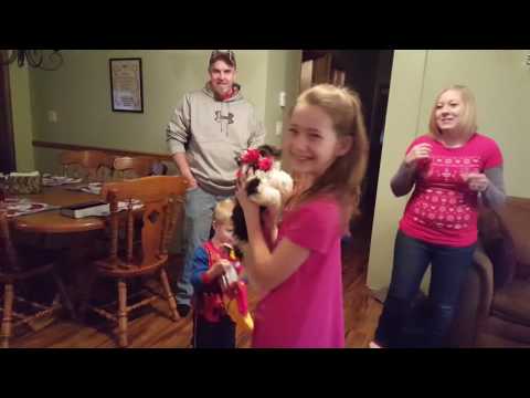 Girl Gets Puppy for Christmas!