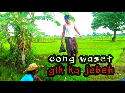 cong-waset-gik-ka-jhebehmadura-lucu