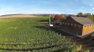 preview picture of video 'Walla Walla Vintners Aerial View by www.windows2tw.com'