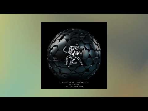 Amir Telem feat. Aves Volare - Our Word (Original Mix)