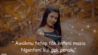 Download lagu quotes story wa 30 detik dj salam tresno mp3