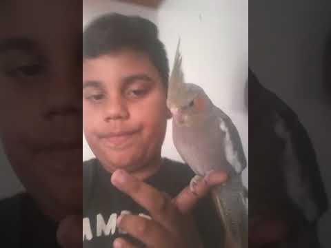 Minha novidade no canal