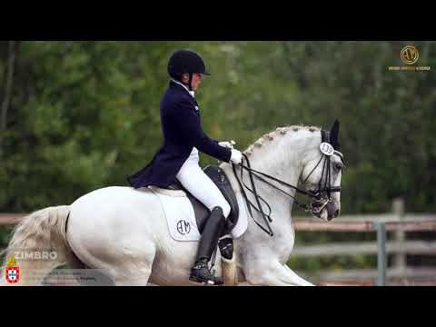 29 Coudelaria António Correia de Mendonça