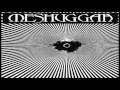 Meshuggah - The Debt of Nature